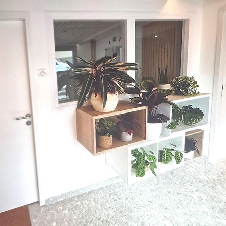 Moderne F3 - 10 Min Aeroport Cdg - Paris - Parc Asterix - Disneyland Paris - Tour Eiffel - Champs Elysee - 15 Min Parc Des Expositions Villepinte - 10 Min Le Bourget - 5 Min Du Golf International De Roissy- Jo 2024 ル・ティレー エクステリア 写真